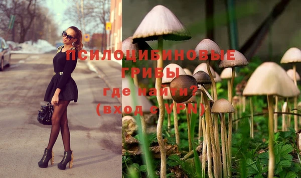 крисы Нефтегорск