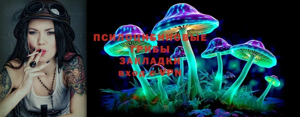 крисы Нефтегорск