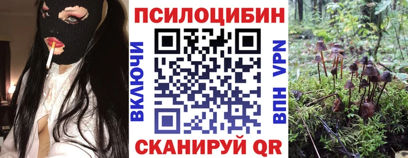 Галлюциногенные грибы Psilocybe  Курган 