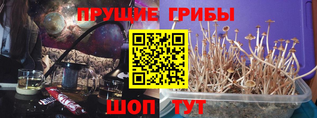 Галлюциногенные грибы ЛСД  Вход с VPN  Курган 