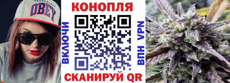 кракен онион  сколько стоит  Курган  Бошки Шишки планчик 